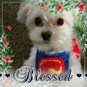 Meet your Posher, Gail